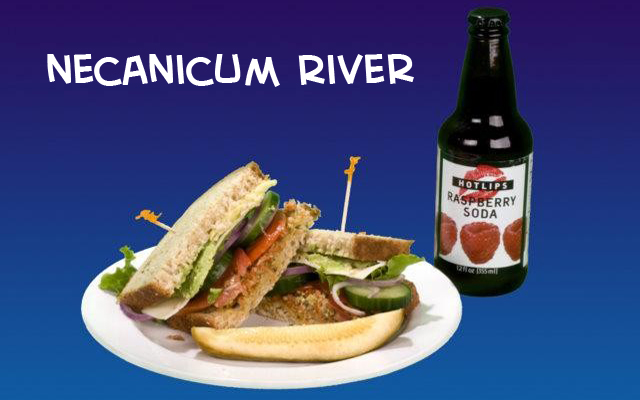 Necanicum River Sandwich at Tsunami Sandich Company